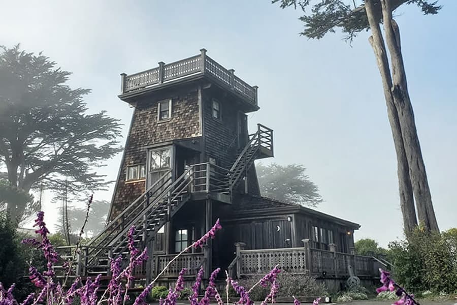 A tall, wooden house with a staircase and surrounding fog, flanked by trees and purple flowers.