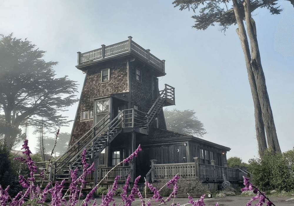 A tall, wooden tower house surrounded by mist and blooming purple flowers.