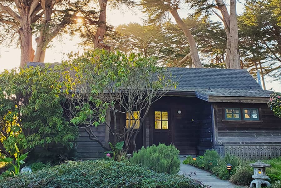 A cozy wooden cabin surrounded by lush greenery and tall trees, illuminated by sunlight.