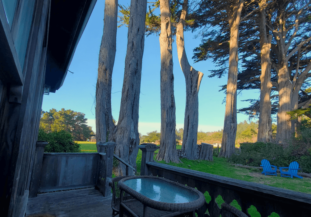 View from a porch featuring tall trees and a grassy area with blue chairs.