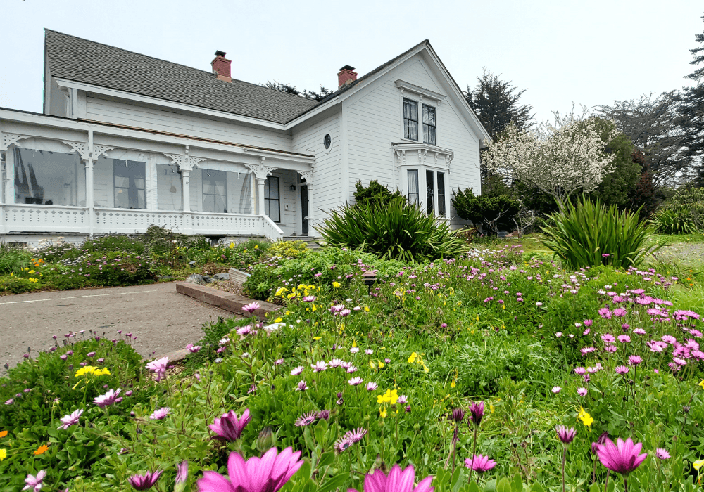 A charming white house surrounded by colorful blooming flowers.