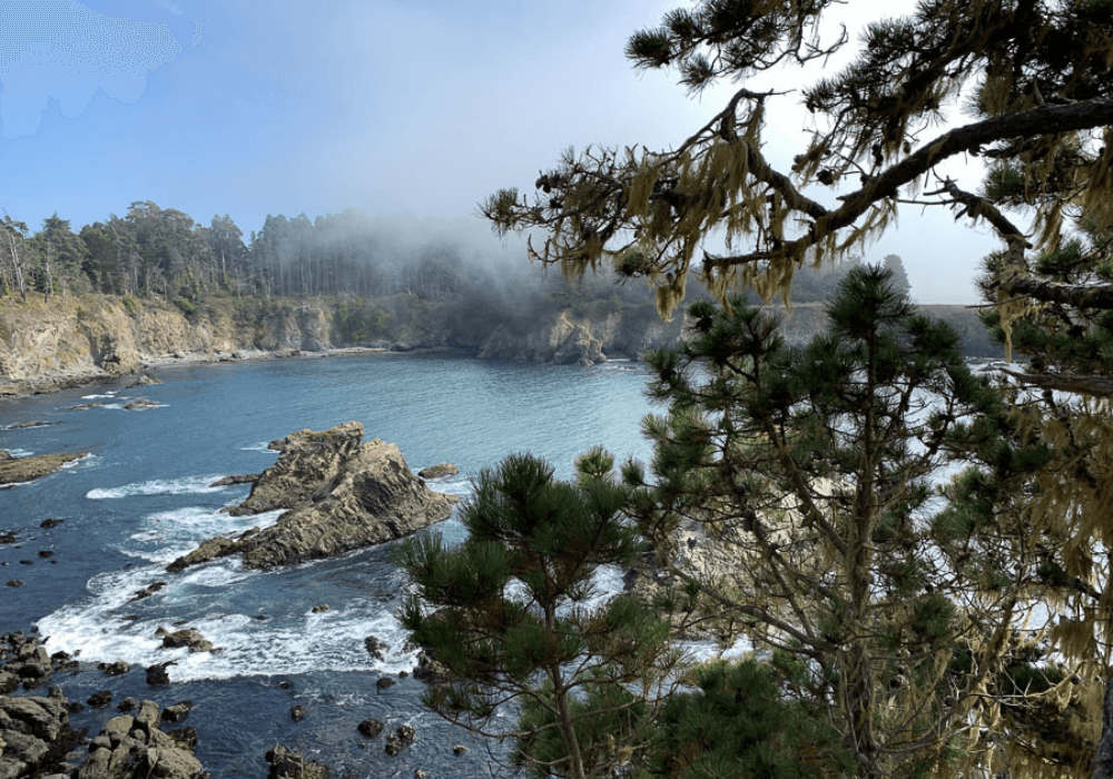 A coastal scene featuring rocky shores, clear water, and misty trees.