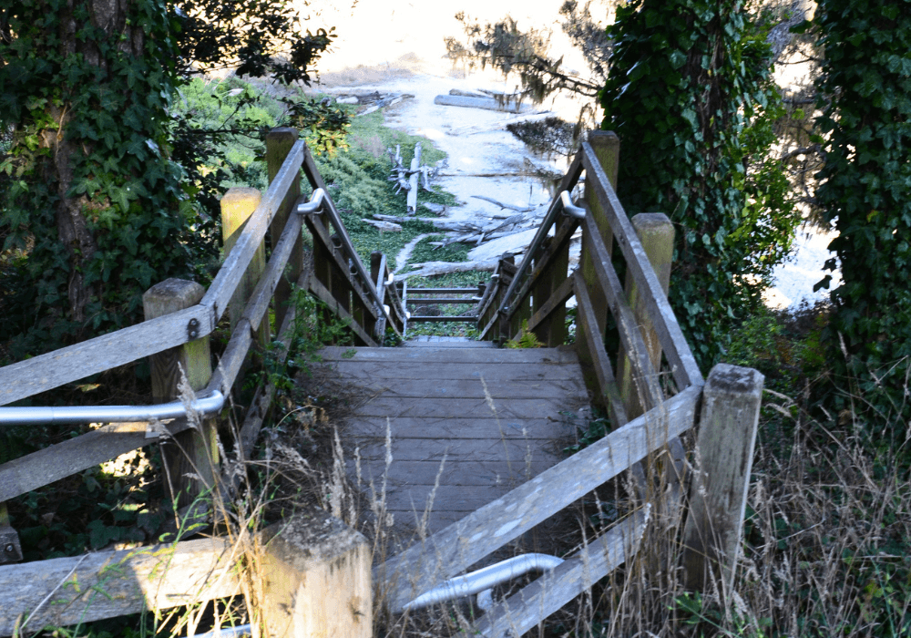 Wooden stairs lead down to a rocky shoreline surrounded by greenery.