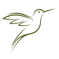 A minimalist green outline of a hummingbird in flight.