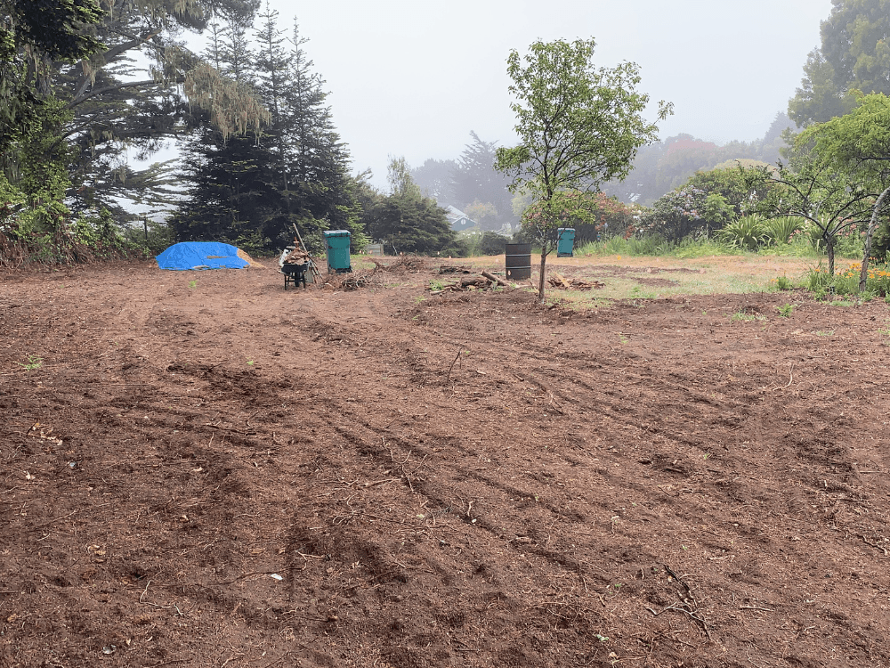 A misty garden area featuring a blue tarp, green bins, and a lone tree amidst freshly turned soil.