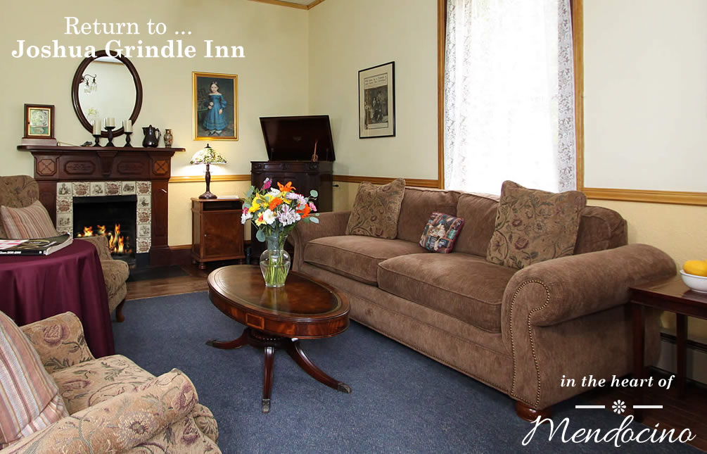 Visit Our Website!