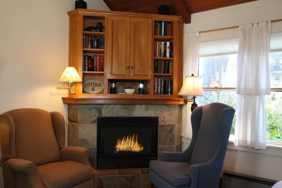 chairs and fireplace - cozy setting